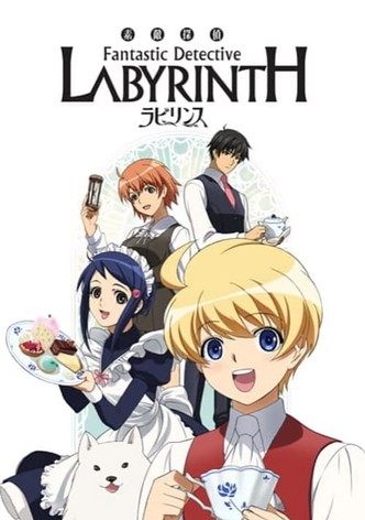 Fantastic Detective Labyrinth