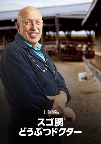 スゴ腕どうぶつドクター