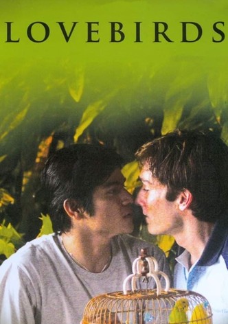 Lovebirds