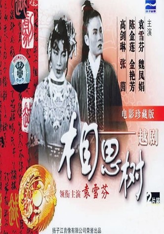 相思树
