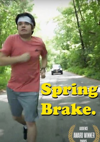 Spring Brake