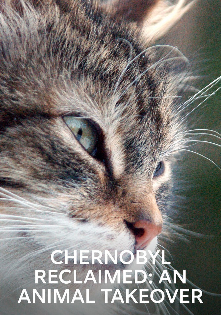 Chernobyl Reclaimed: An Animal Takeover
