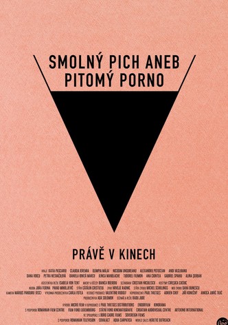 Smolný pich aneb Pitomý porno