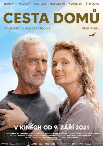 Cesta domů