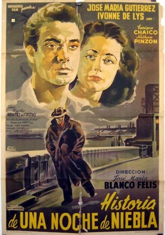 Historia de una noche de niebla