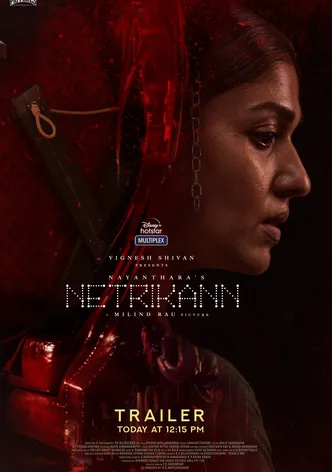 Netrikann poster