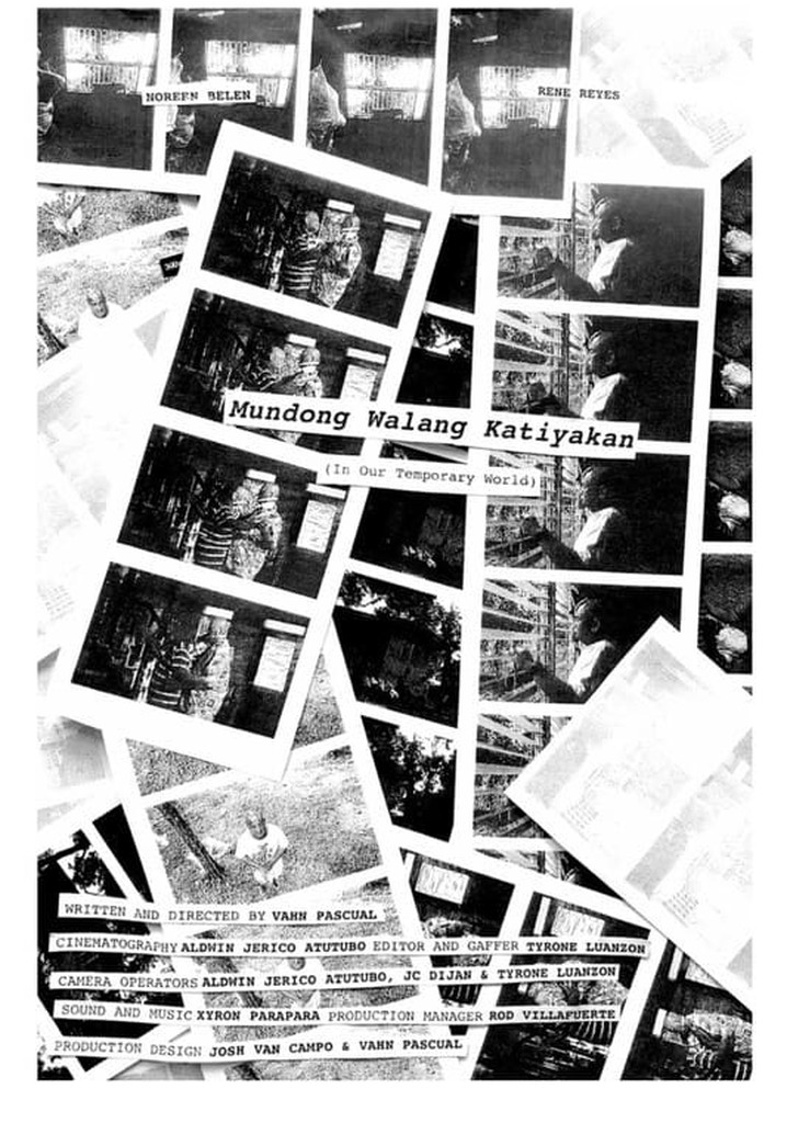 In Our Temporary World