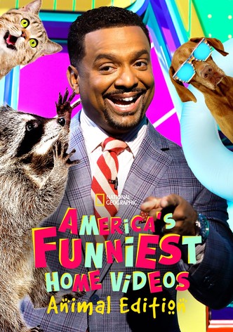 America s Funniest Home Videos Animal Edition streaming