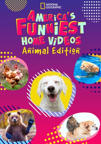 America's Funniest Home Videos: Animal Edition