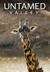 Untamed Valley