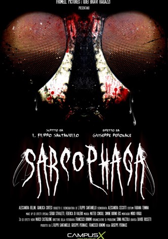 Sarcophaga