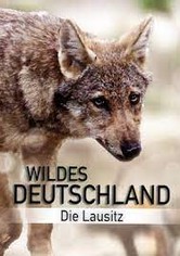 Németország vadvidéke - A Lausitz régió