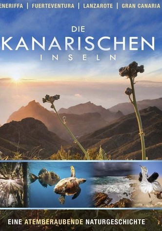 Die Kanarischen Inseln