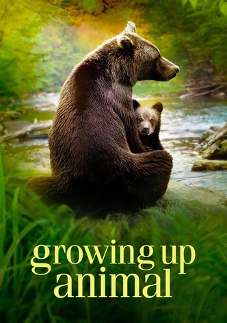 Growing Up Animal