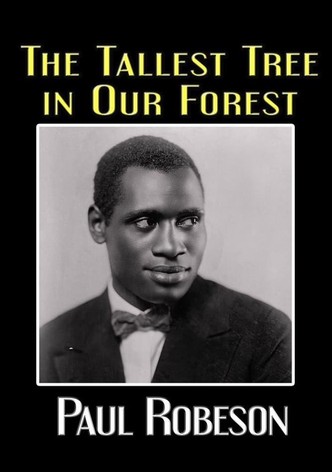 The Tallest Tree in Our Forest