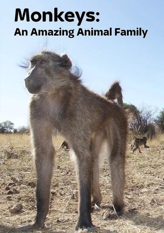 Monkeys: An Amazing Animal Family