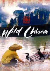 Wildes China