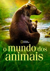 O Mundo dos Animais