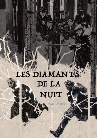 Les Diamants de la Nuit