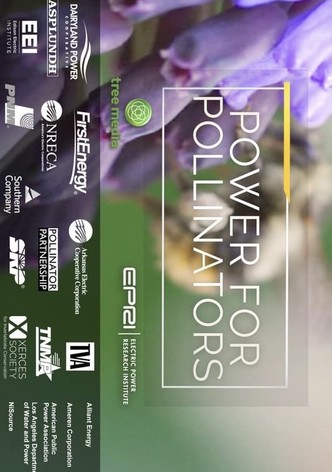 Power for Pollinators