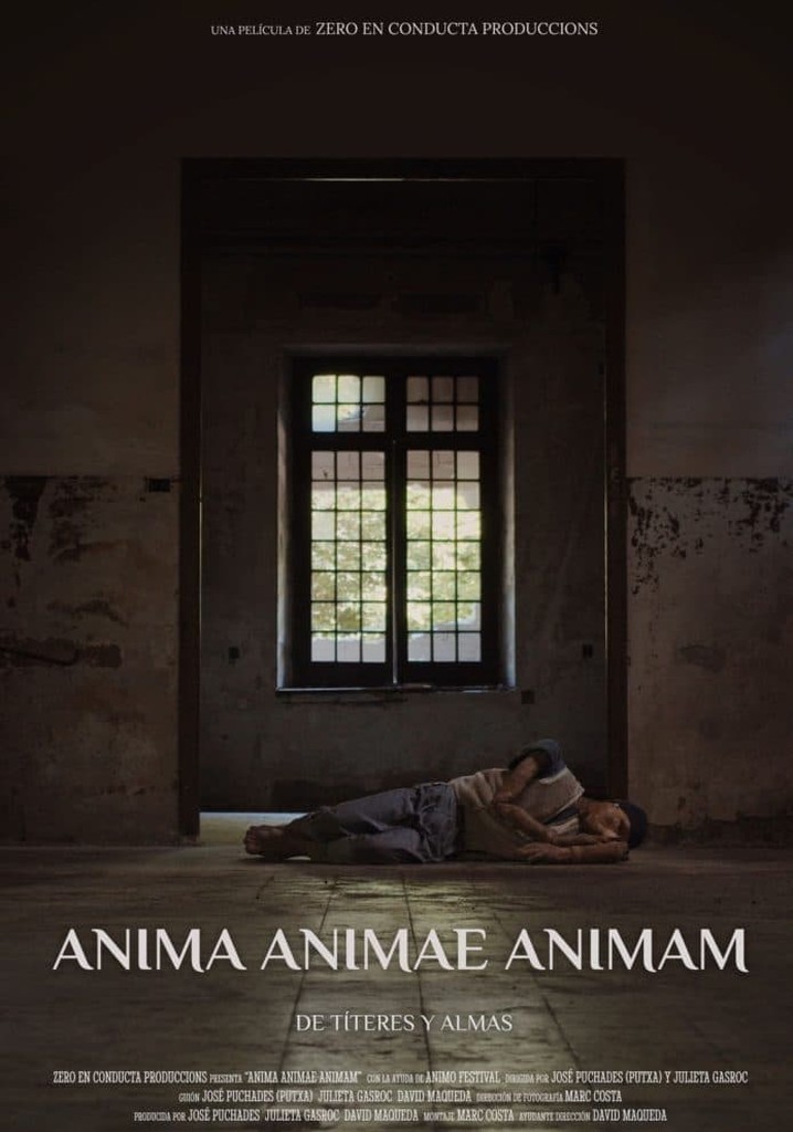 Anima Animae Animam