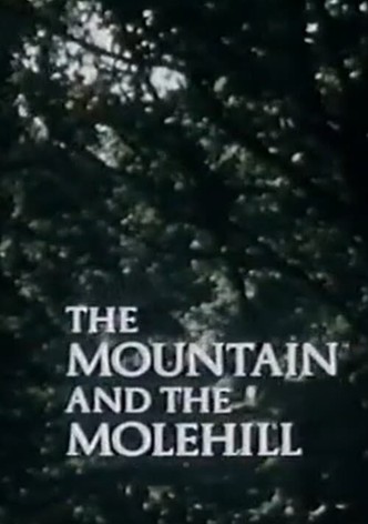 The Mountain and the Molehill