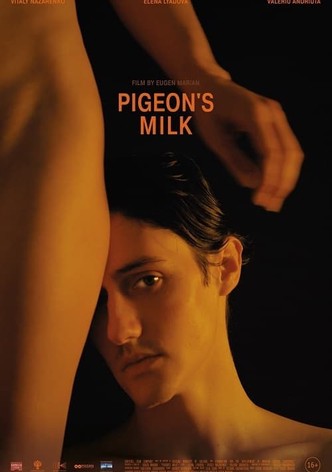 Pigeon's Milk