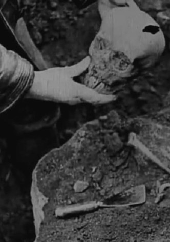 Story of the Unknown Soldier