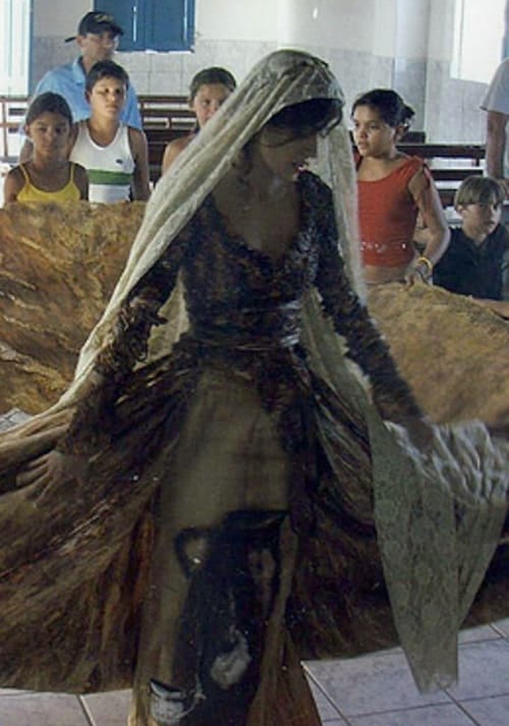 Viva o Cinema Brasileiro!