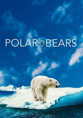 Polar Bears