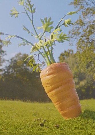 Mein leckerer Garten