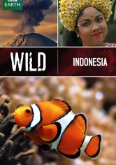 Wild Indonesia