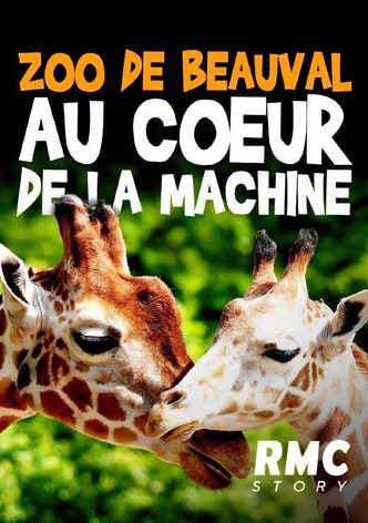 Zoo de Beauval : Au cœur de la machine