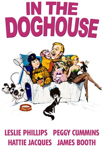 In the Doghouse