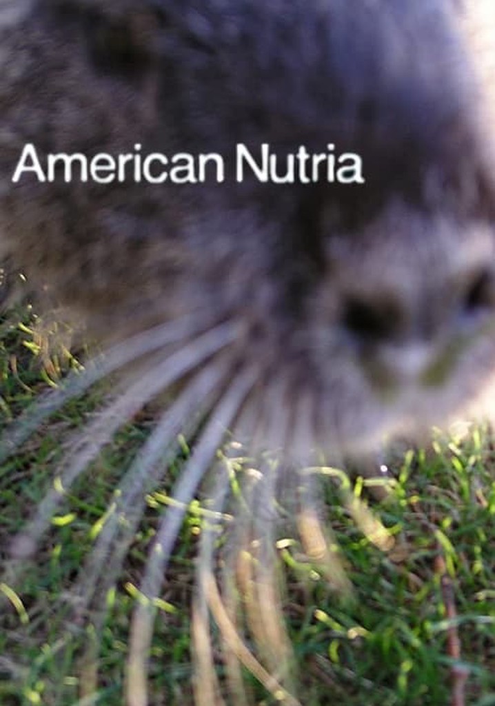 American Nutria