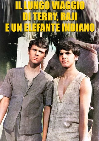 Il lungo viaggio di Terry, Raji e un elefante indiano