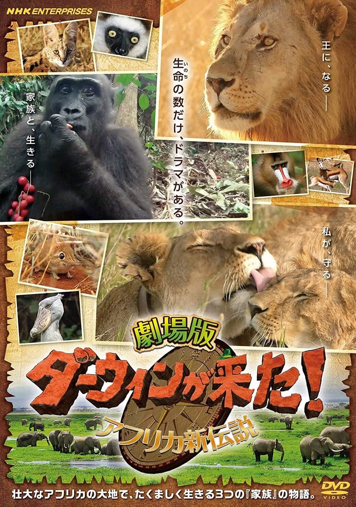 Darwin is here! new african legend