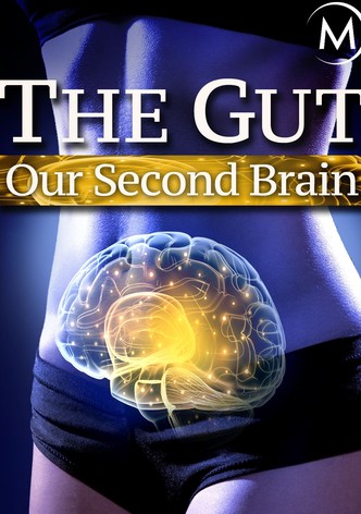 The Gut: Our Second Brain