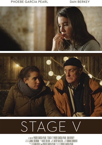 Stage V