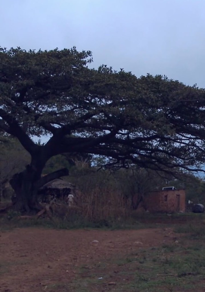 Las Raíces del Roble