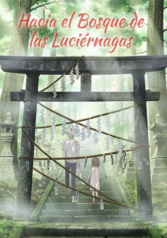 En el bosque de la luz de las luciérnagas