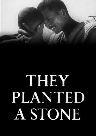 They Planted a Stone
