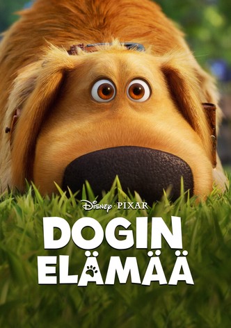 Dogin elämää