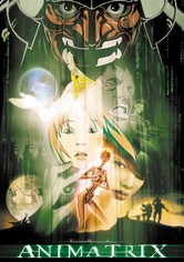 The Animatrix