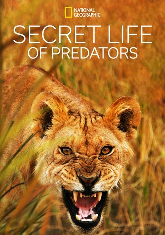 Secret Life of Predators