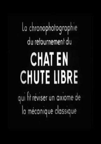 Chat En Chute Libre