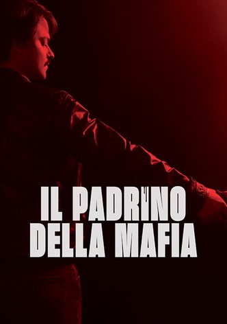 Il padrino della mafia