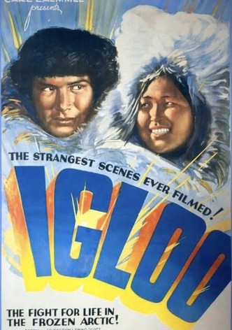 Igloo