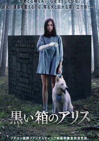 黒い箱のアリス