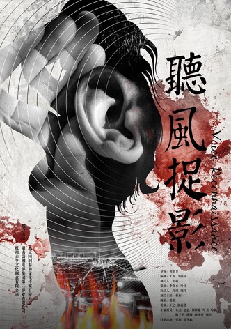 听风捉影